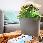 Meerzeit Mit Terrasse Appartamento